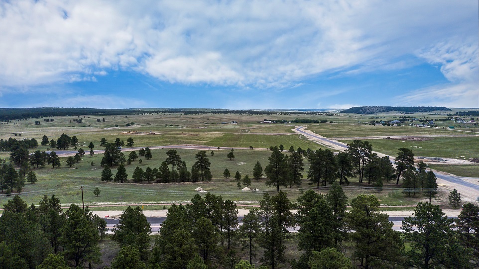 Treed Lot For Sale Colorado